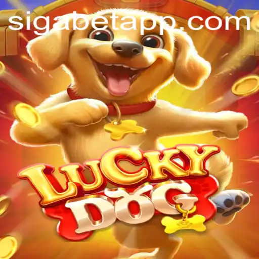 Exploring LuckyDog on the SigaBet App: A Detailed Overview